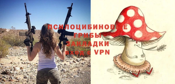 a pvp Алексеевка