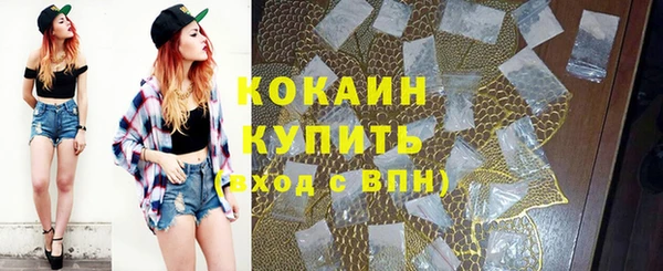 ешки Гусев