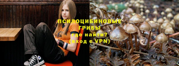 героин Алзамай